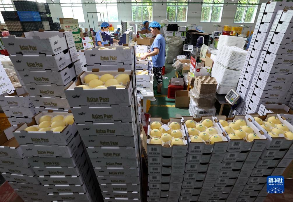 白菜现金网官方网站